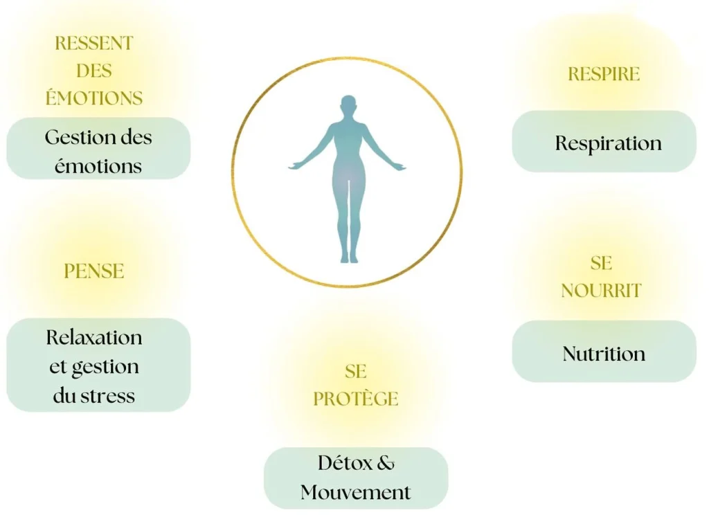 les 5 facteurs du vivant